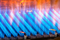 Treveighan gas fired boilers